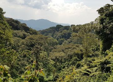 rwanda/gitarama/landmark/uwinka-visitor-center