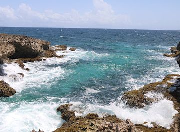 aruba/natural-pool/landmark/cave-pool-aruba