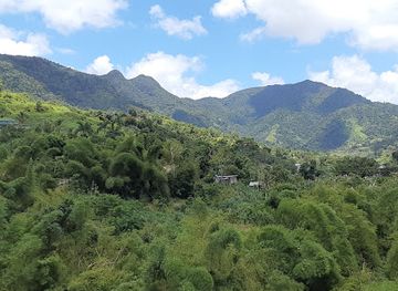 puerto-rico/central-mountain-range/landmark/la-piedra-escrita