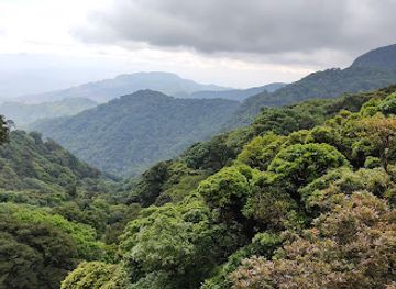 honduras/pico-bonito-national-park/landmark/parque-nacional-la-tigra