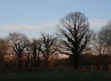 belgium/kempense-heuvelrug/landmark/kempens-landschap-de-hellekens