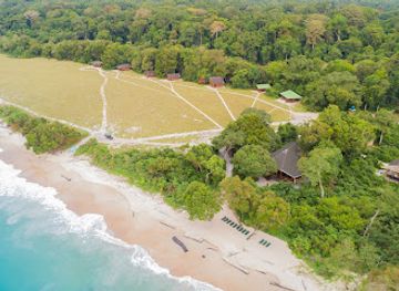 gabon/pikounda-gorilla-camp/landmark/pongara-lodge