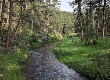 south-dakota/custer/landmark/hazelrodt-picnic-area