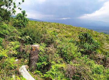ecuador/napo-region/landmark/national-recreation-area-el-boliche