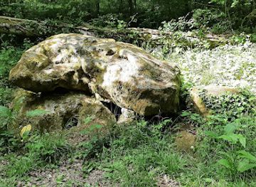 belgium/gaume/landmark/dolmen-de-gomery