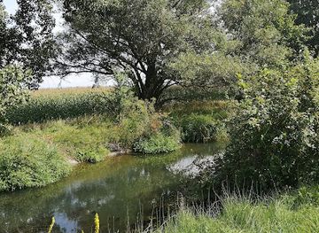 hungary/csallokoz/landmark/zitny-ostrov