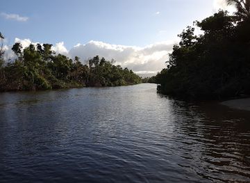puerto-rico/yunque-national-forest/landmark/reserva-natural-rio-espiritu-santo