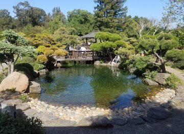california/castro-valley/landmark/japanese-gardens