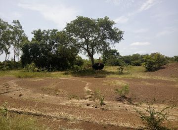 burkina-faso/ziniare/landmark/parc-animalier-de-ziniare
