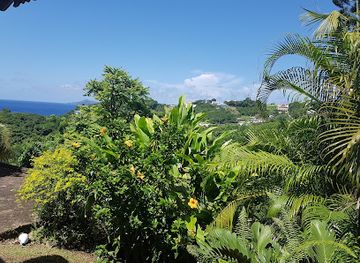 saint-vincent-and-the-grenadines/saint-andrew/landmark/st-vincent-and-the-grenadines-destination-wedding-photographer