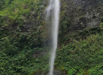 fiji/northern-division/landmark/koroyanitu-national-park