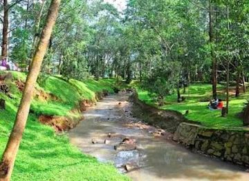 cameroon/lobe-waterfalls/landmark/bois-sainte-anastasie