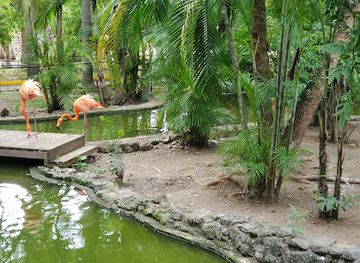 jamaica/santa-cruz-mountains/landmark/hope-zoo-preservation-foundation