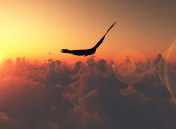 puerto-rico/ponce-region/landmark/tomb-of-juan-ponce-de-leon