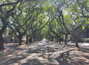 brazil/foz-do-iguacu/vila-a/landmark/a-rua-mais-bonita-de-foz