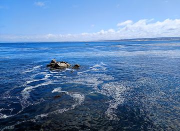 california/monterey/monterey-bay-aquarium/landmark/monterey-bay-sight-point