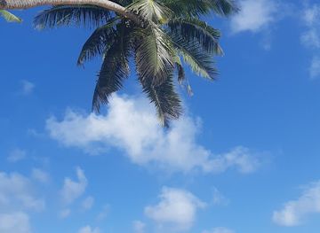 seychelles/grand-anse/landmark/anse-barbarons