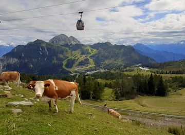 austria/gailtal/landmark/felsenlabyrinth-flying-fox