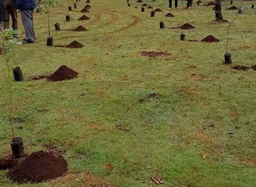 kenya/elgeyo-escarpment/landmark/kessup-forest