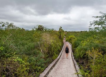 ecuador/puerto-ayora/landmark/tortuga-bay-beach