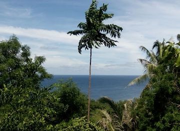 indonesia/east-nusa-tenggara/landmark/palu-island