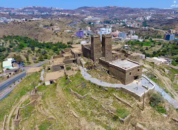 حصن التوأمين الأخوين