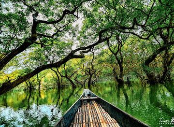 bangladesh/jaflong/landmark/ratargul-swamp-forest