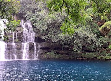 mauritius/black-river-gorges-national-park/landmark/cascade-eau-bleu