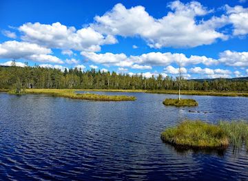 czechia/sumava-national-park/landmark/chalupska-slat