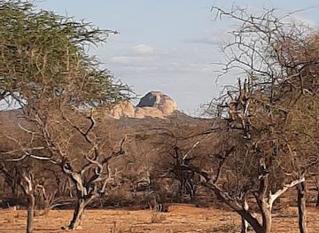 kenya/aberdare-national-park/landmark/kora-national-park