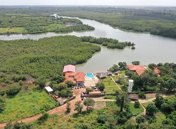 guinea-bissau/rio-geba/landmark/canafistra-crescendo-a-beira-rio