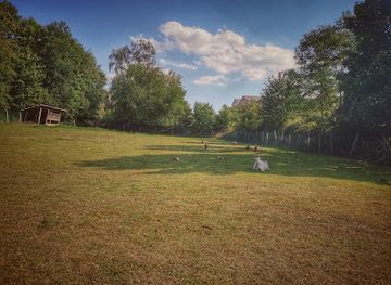 belgium/louvain-la-neuve/landmark/parc-a-lapins