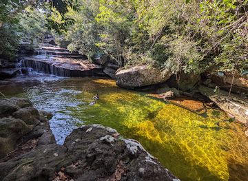 colombia/andean-region/landmark/the-andean-birder-birdwatching-tours-in-colombia