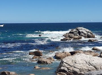 south-africa/west-coast-national-park/landmark/lambert-s-bay-bird-island-nature-reserve