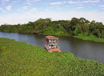 brazil/pantanal/landmark/pantanal-brasileiro