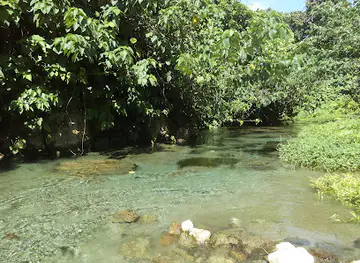 Bonegi river spring