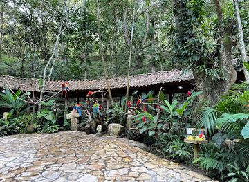 honduras/copan-ruinas/landmark/macaw-mountain-bird-park