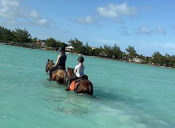 turks-and-caicos-islands/providenciales/landmark/tci-heritage-horseback-riding-tours