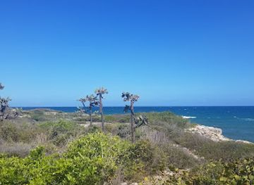 Guánica State Forest