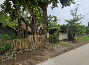 philippines/cagayan-de-oro/macasandig/landmark/balite-tree