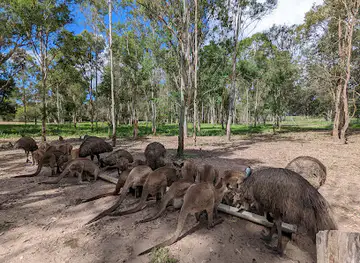 Fraser Coast Wildlife Sanctuary
