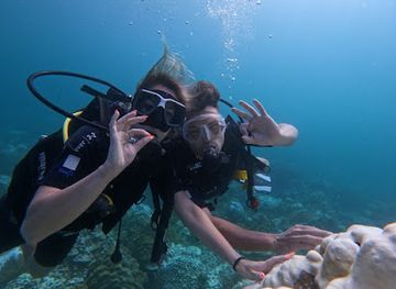 sri-lanka/trincomalee-district/landmark/angel-diving
