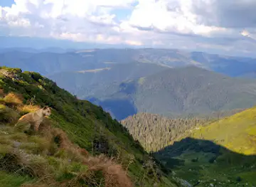 Karpat·sʹkyy Biosfernyy Zapovidnyk