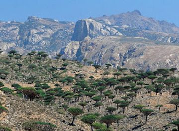yemen/socotra-archipelago/landmark/hajhir-mountains