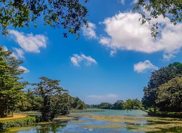 sri-lanka/western-province/landmark/boralesgamuwa-lake