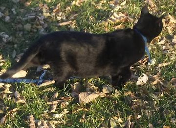 nebraska/grand-island/landmark/golden-age-village