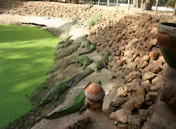 Kachikally Crocodile Pool