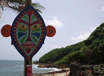 puerto-rico/greater-antilles/landmark/playa-puerto-hermina