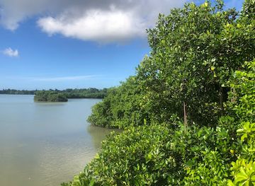 tonga/foa-island/landmark/captain-cook-landing-site