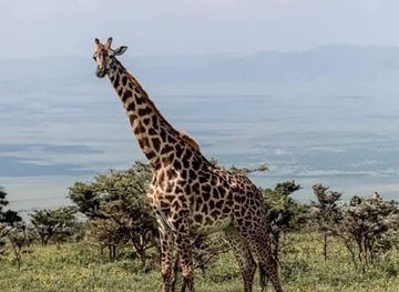 tanzania/kilimanjaro-region/landmark/kili-treks-tanzania